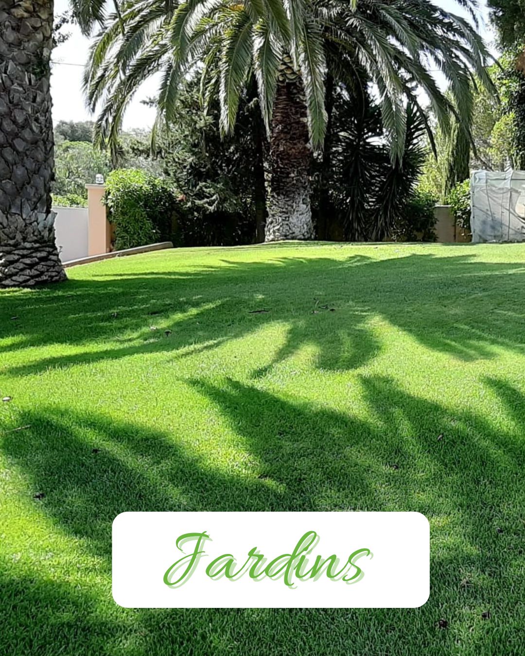 RD Garden - Manutenção de Jardins e Piscinas