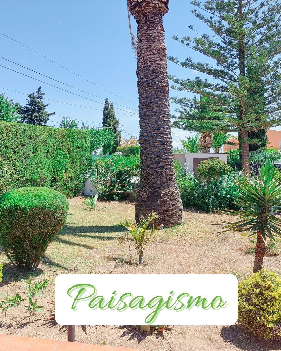 RD Garden - Manutenção de Jardins e Piscinas